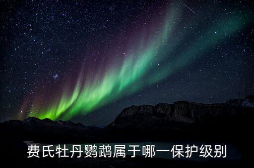 费氏牡丹鹦鹉属于哪一保护级别