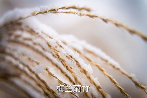 梅兰菊竹，梅兰菊竹分别是哪个季节按顺序