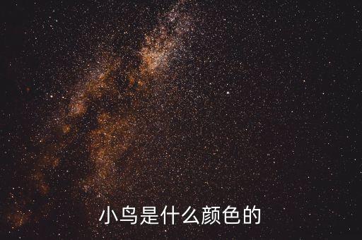 小鸟是什么颜色的