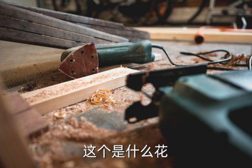 这个是什么花