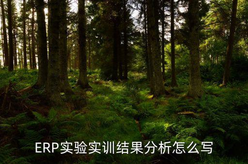 ERP实验实训结果分析怎么写
