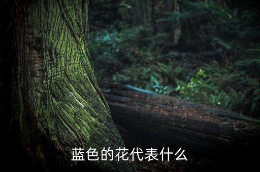 蓝色的花代表什么