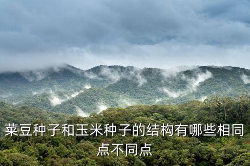 菜豆种子结构，解释菜豆玉米种子的结构图