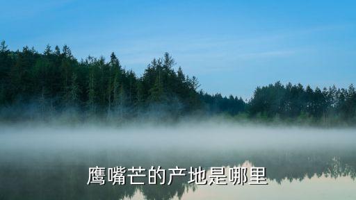 鹰嘴芒，鹰嘴芒的产地是哪里