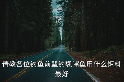 请教各位钓鱼前辈钓翘嘴鱼用什么饵料最好