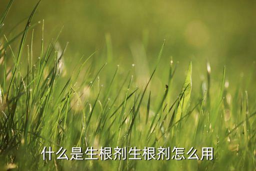 生根剂，什么是生根剂生根剂怎么用