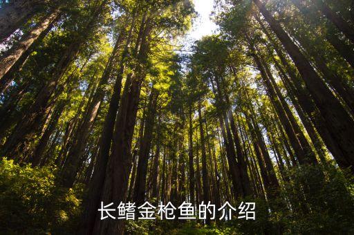 长鳍金枪鱼的介绍