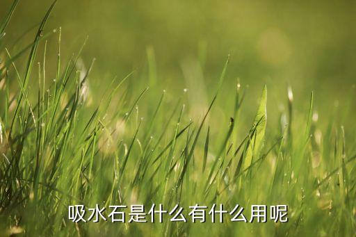 吸水石是什么有什么用呢