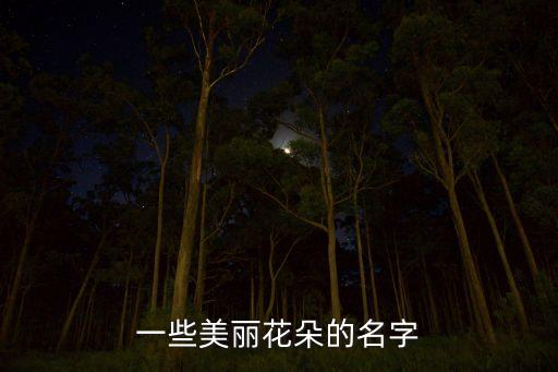一些美丽花朵的名字