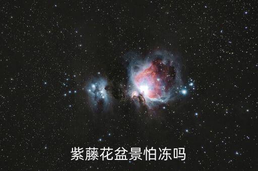 紫藤盆景，紫藤盆栽冬季落叶吗