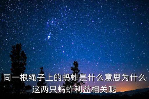 一根绳上的蚂蚱，同一根绳子上的蚂蚱是什么意思为什么要这么说