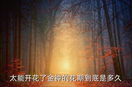 金钟花，太能开花了金钟的花期到底是多久