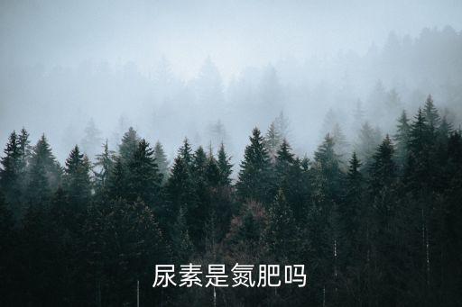 尿素是氮肥吗