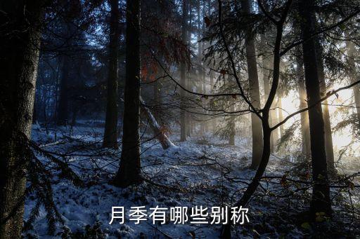 月季花的图片，月月红是什么花