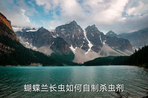 自制杀虫剂小飞虫，家政女皇 自制灭蚊剂