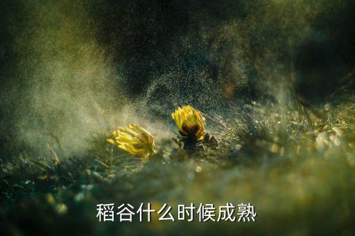 稻子什么季节成熟，稻谷什么时候成熟