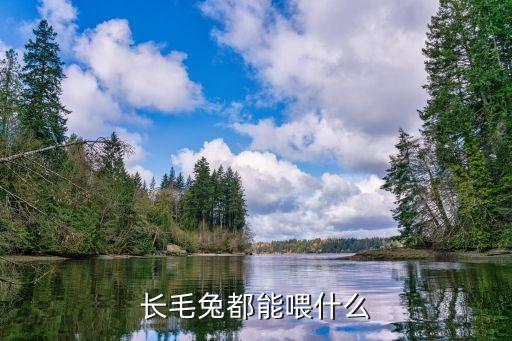 长毛兔都能喂什么