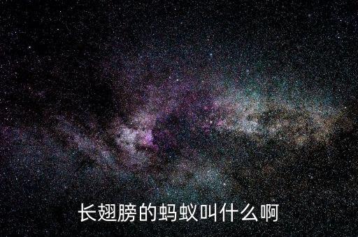 有翅膀的蚂蚁，有没有蚂蚁是长翅膀的