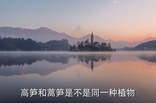 高笋和茭白有什么区别，水笋和高笋的区别