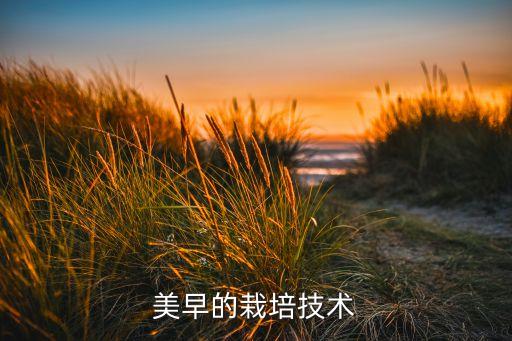美早的栽培技术