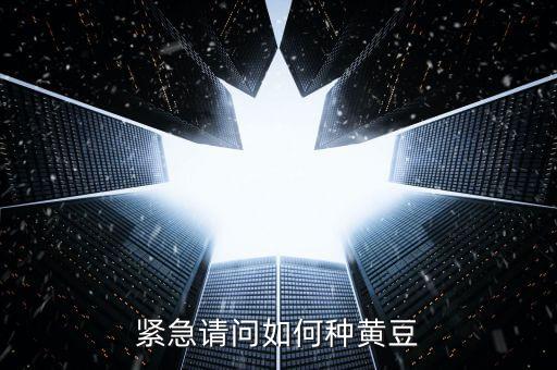 种黄豆，怎么种豆子
