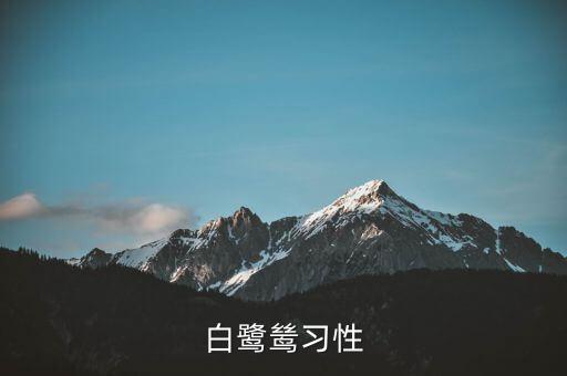 白鹭鸶习性