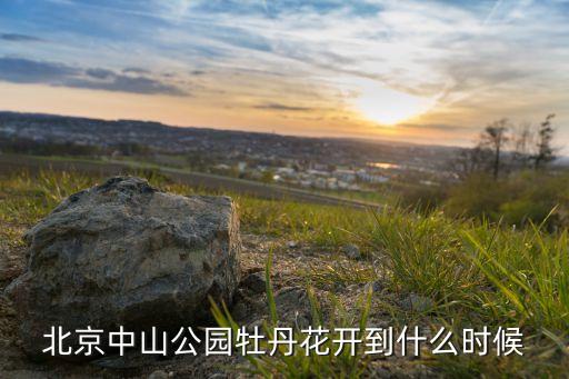 北京中山公园牡丹花开到什么时候