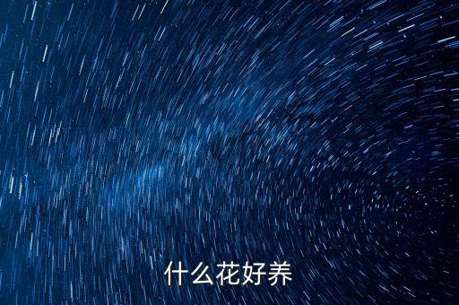 什么花好养