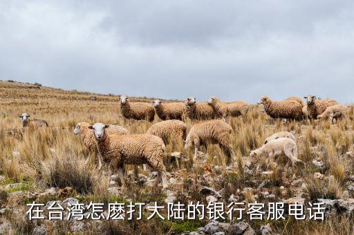 在台湾怎麽打大陆的银行客服电话