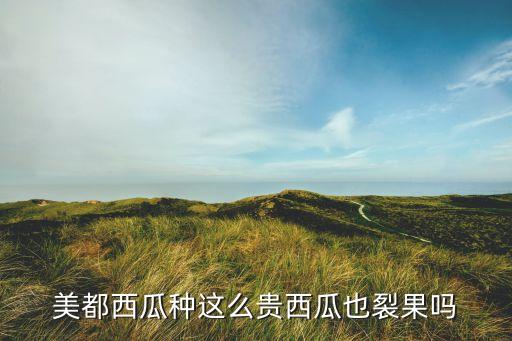 美都西瓜种这么贵西瓜也裂果吗
