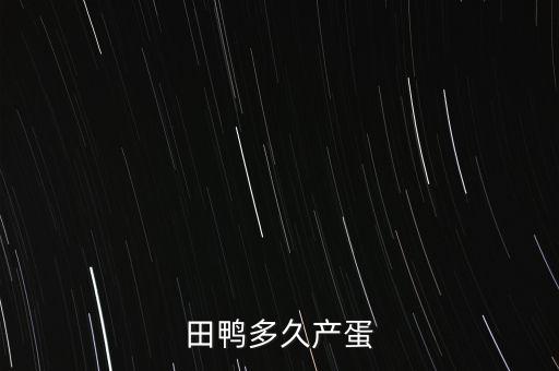 田鸭多久产蛋