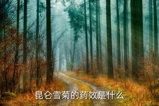 雪菊功效，菊花茶雪菊有何功效