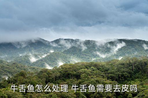 牛舌鱼怎么处理 牛舌鱼需要去皮吗