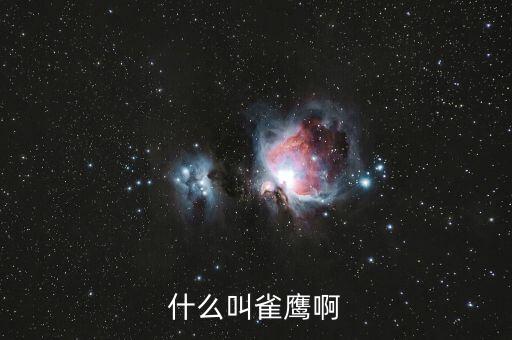 什么叫雀鹰啊