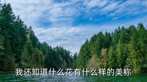 我还知道什么花有什么样的美称