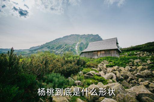 杨桃的形状，杨桃到底是什么形状的