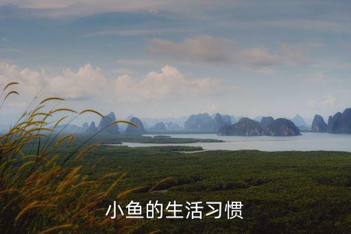 小鱼的生活习惯