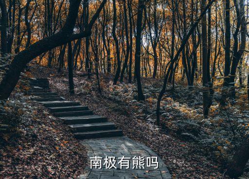 南极有熊吗，南极有熊吗