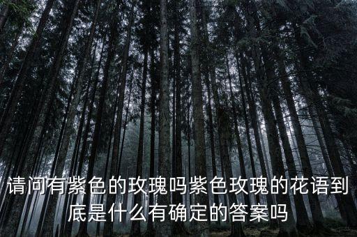 紫玫瑰图片大全，有没德紫色的玫瑰花哦