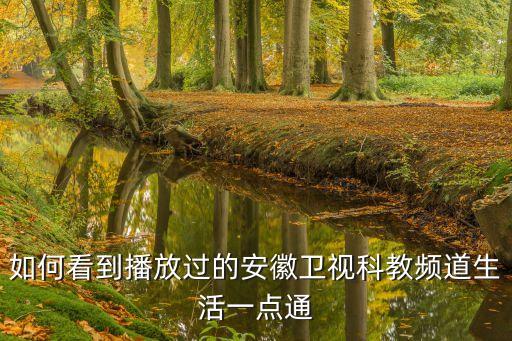 如何看到播放过的安徽卫视科教频道生活一点通
