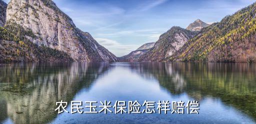 太平保险农业保险怎么赔付，农民玉米保险怎样赔偿