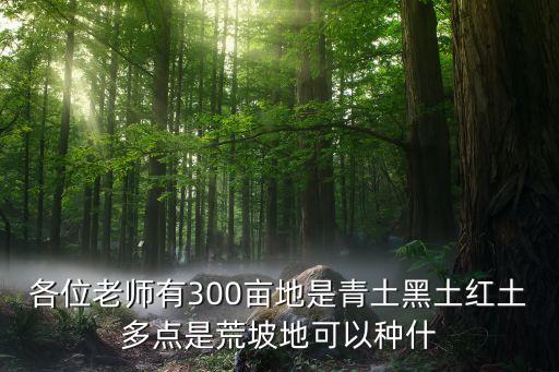 300亩地怎么发展农业，本人在新疆阿勒泰地区有300亩荒地请问第一年应该种植什么以达到