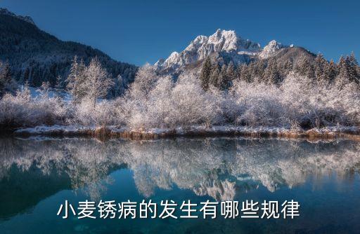 小麦锈病，小麦病害小麦叶锈病防治方法
