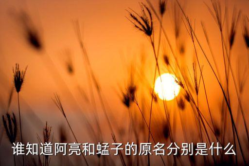 蜢子，谁知道阿亮和蜢子的原名分别是什么
