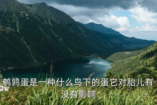 鹌鹑蛋是什么动物的蛋，鹌鹑蛋是什么鸟的蛋