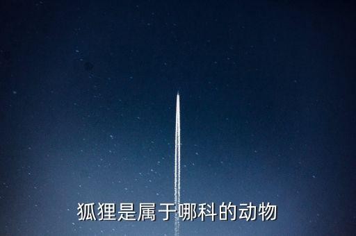 狐狸是什么科，狐狸是属于哪科的动物