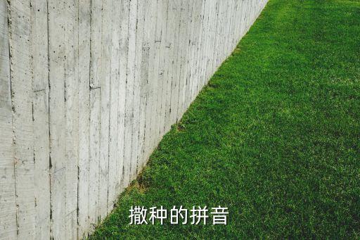 撒种的拼音