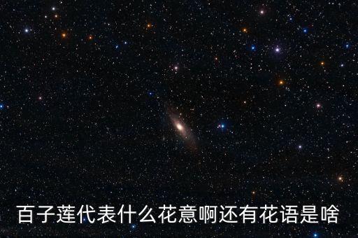 百子莲代表什么花意啊还有花语是啥