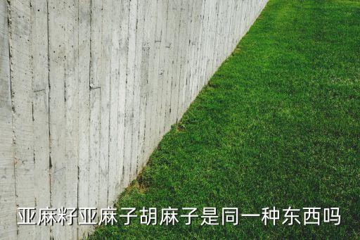 亚麻籽是什么东西，亚麻籽属于农副产品