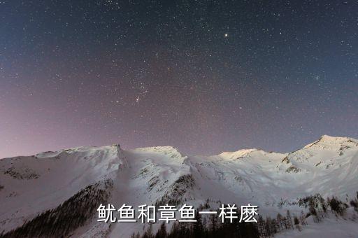 鱿鱼和章鱼，鱿鱼和章鱼的区别